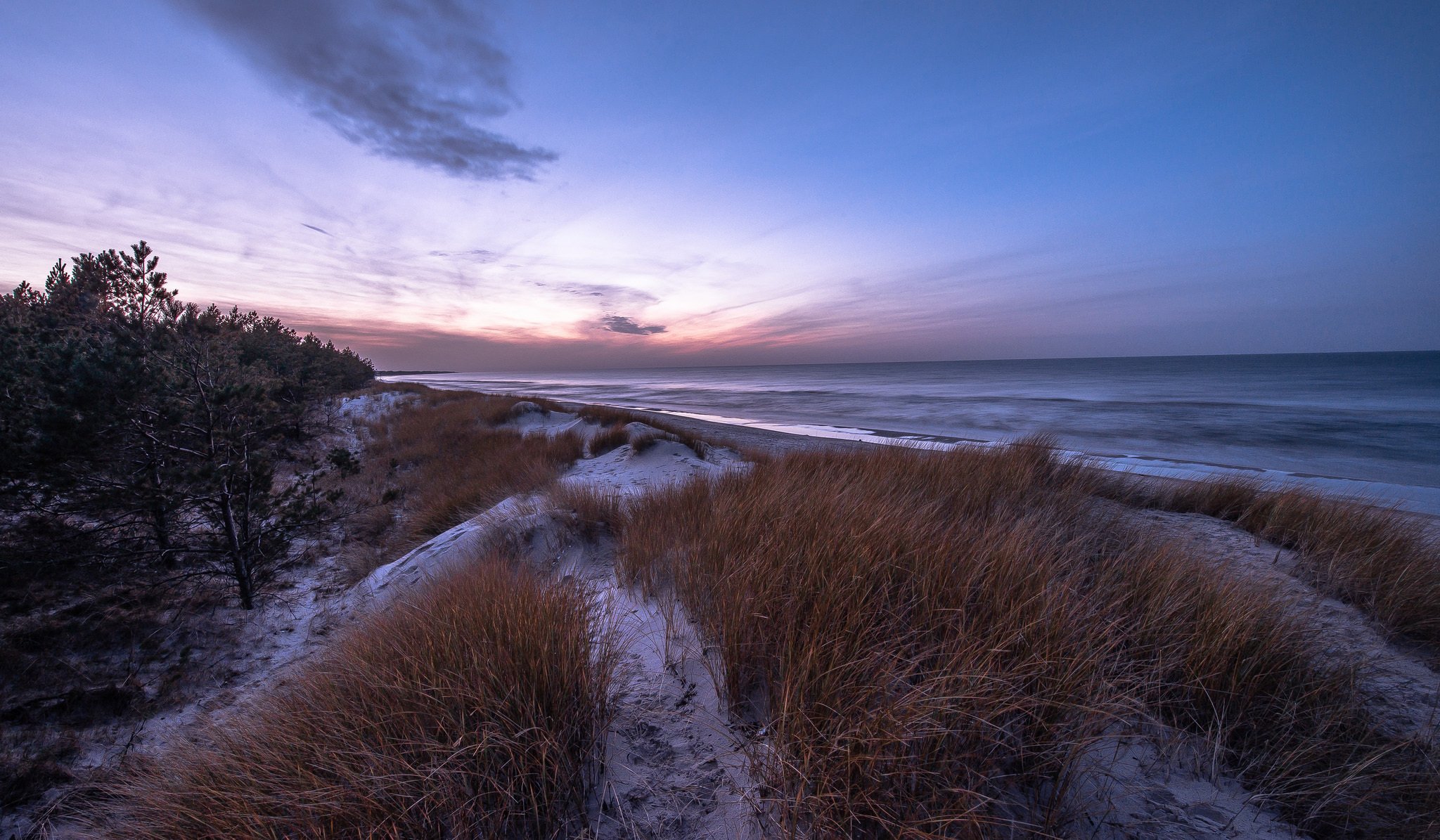 meer strand kiefern gras schnee winter