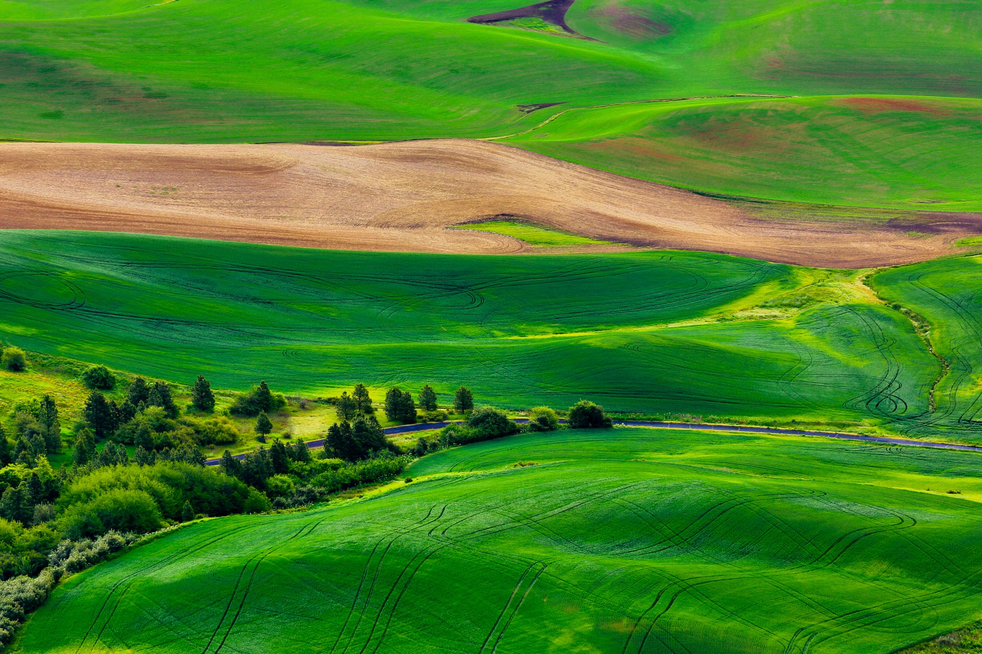 natur feld hügel gras straße bäume panorama