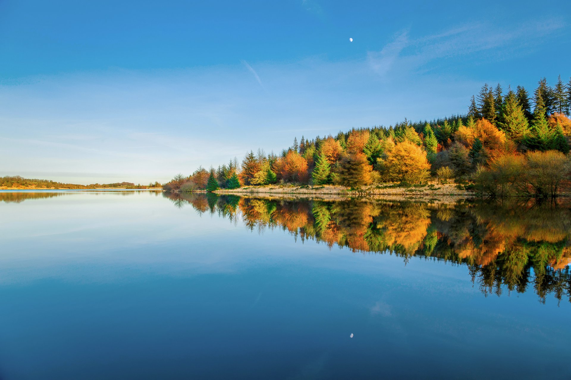 inglaterra reino unido parque nacional de dartmoor condado de devon embalse agua cielo árboles bosque reflejos invierno enero