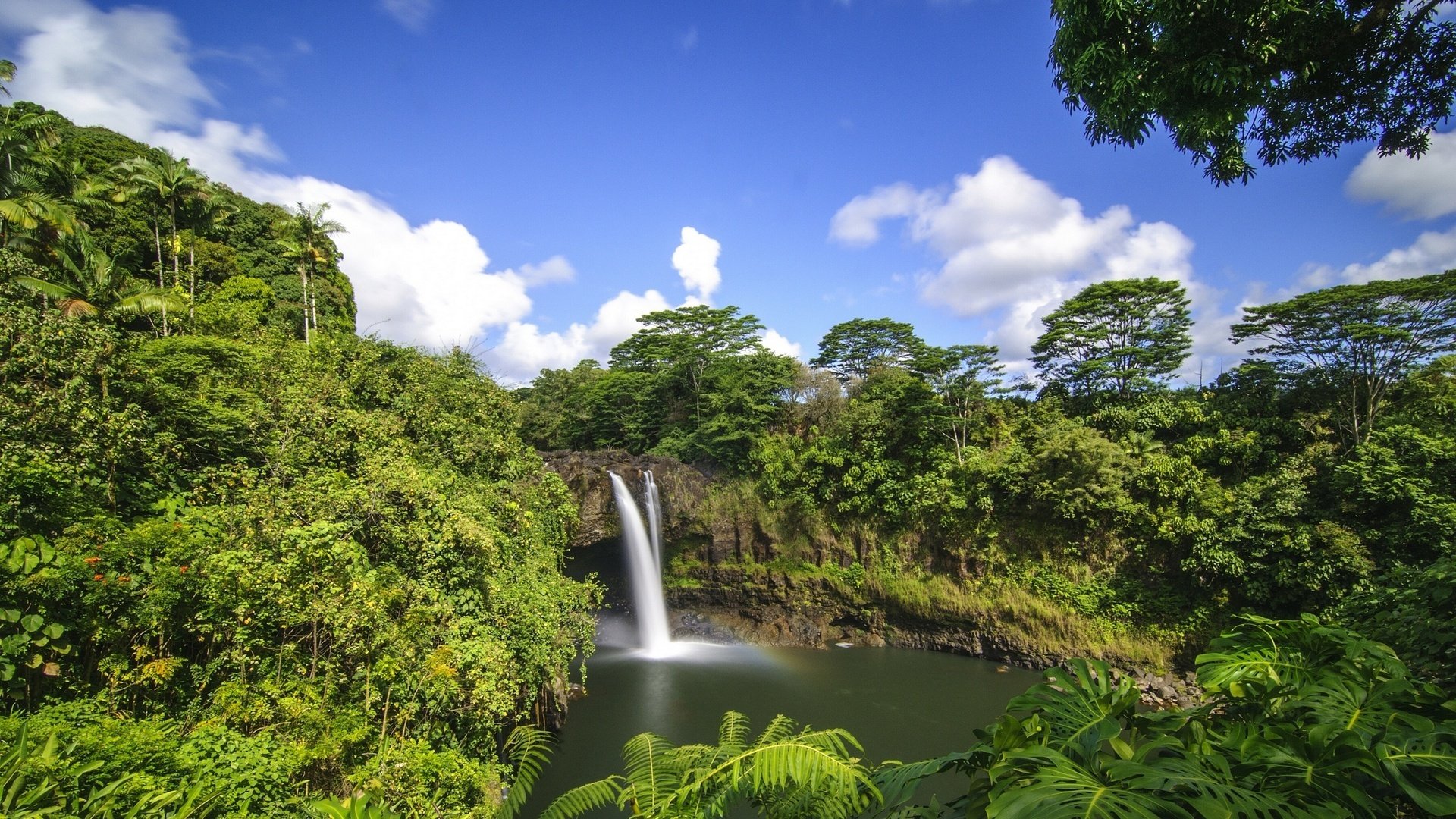 natura alberi fogliame cascata cielo nuvole