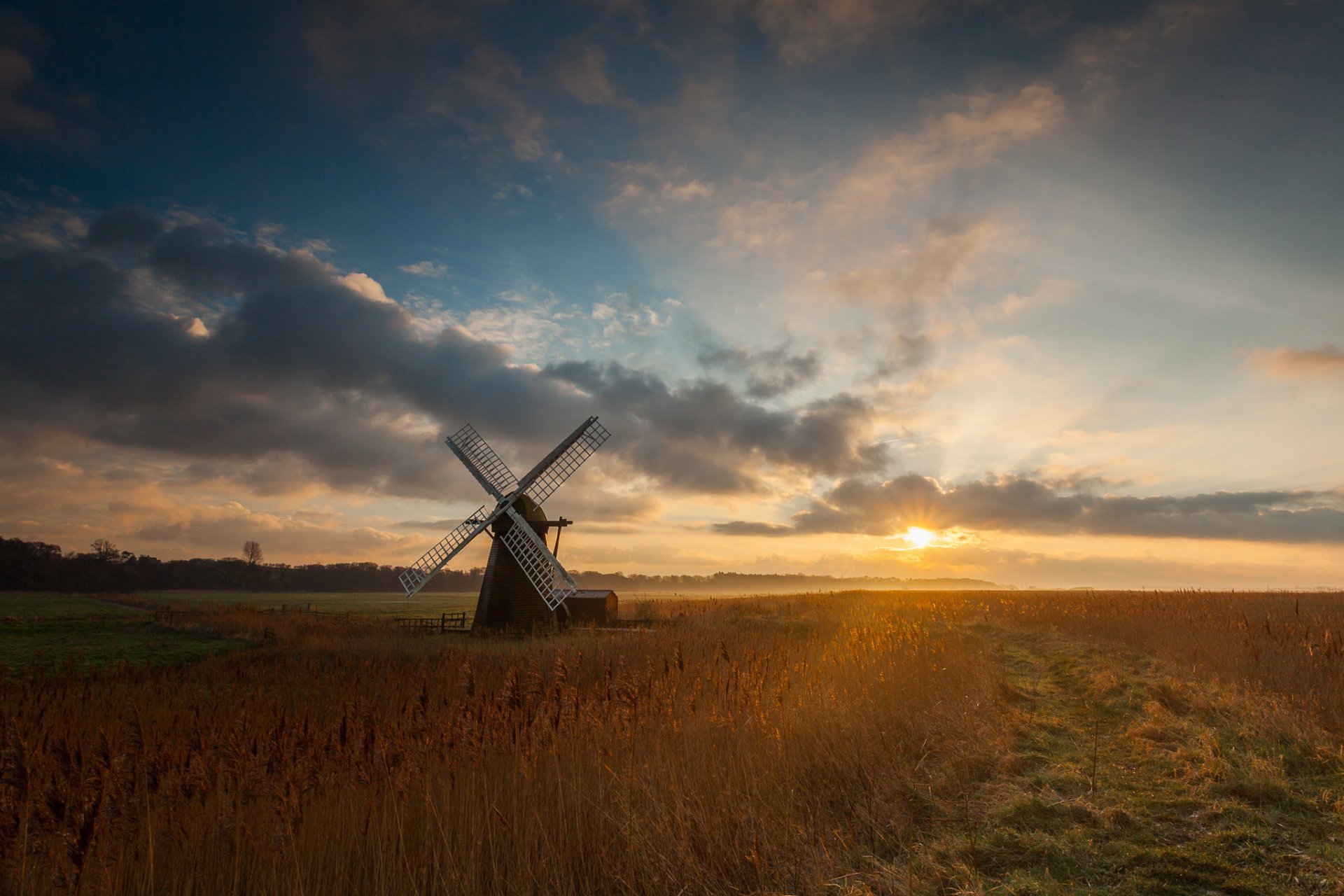 the field mill sun morning