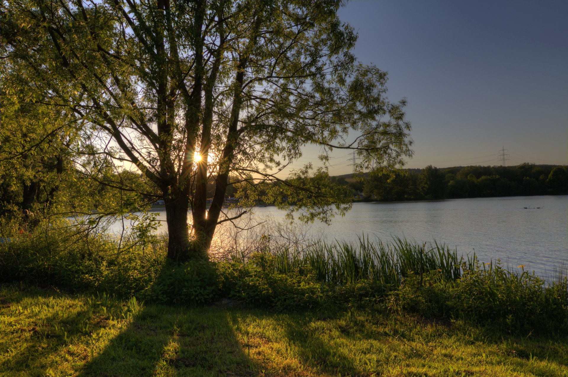 alemania hesse wettenberg lago costa árbol cielo sol rayos