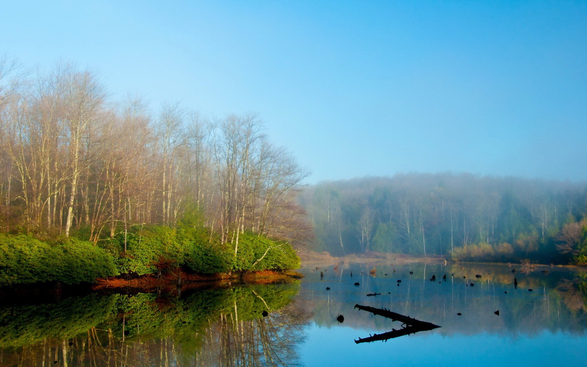 mattina nebbia lago paesaggio