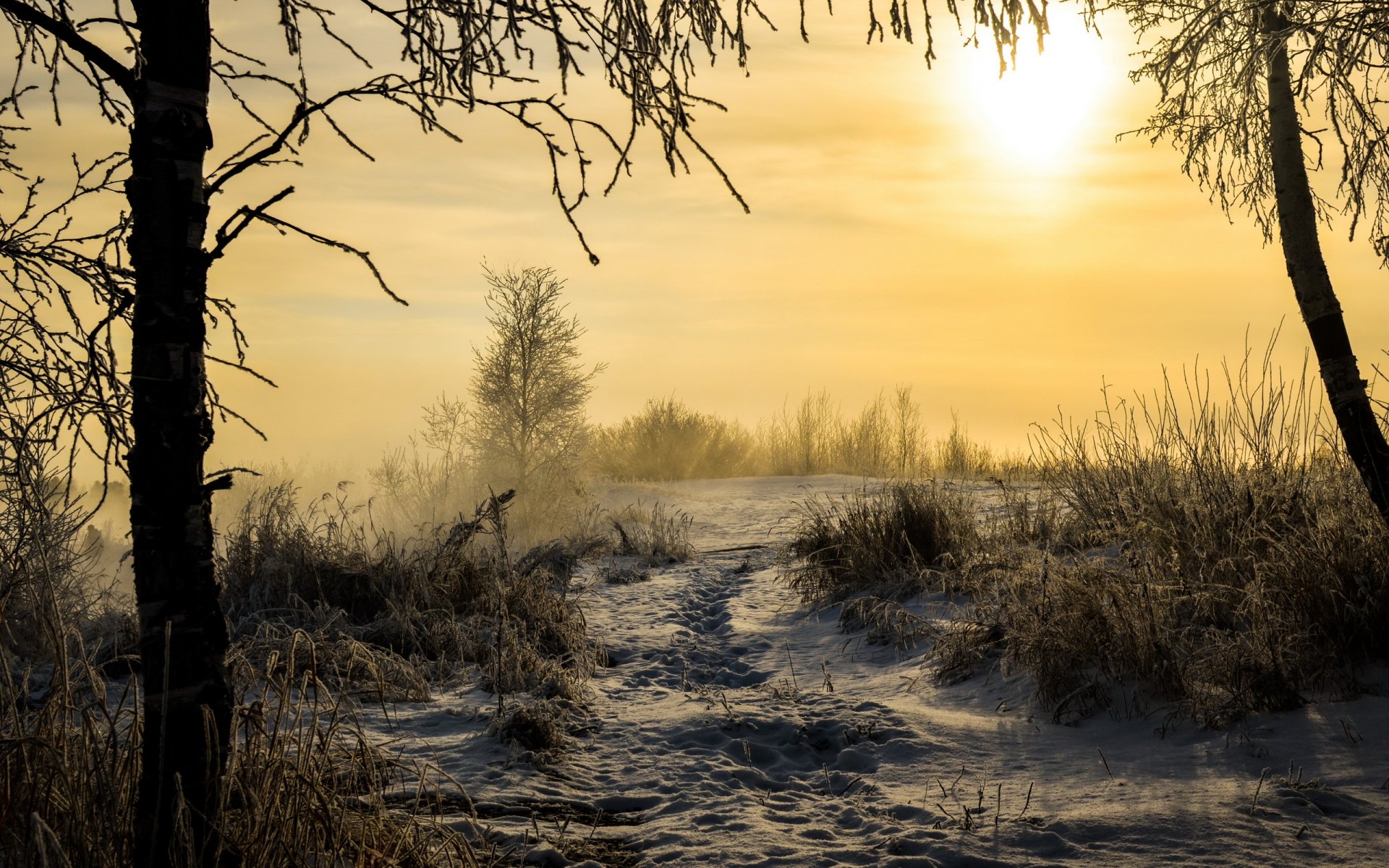 poranek zima śnieg krajobraz