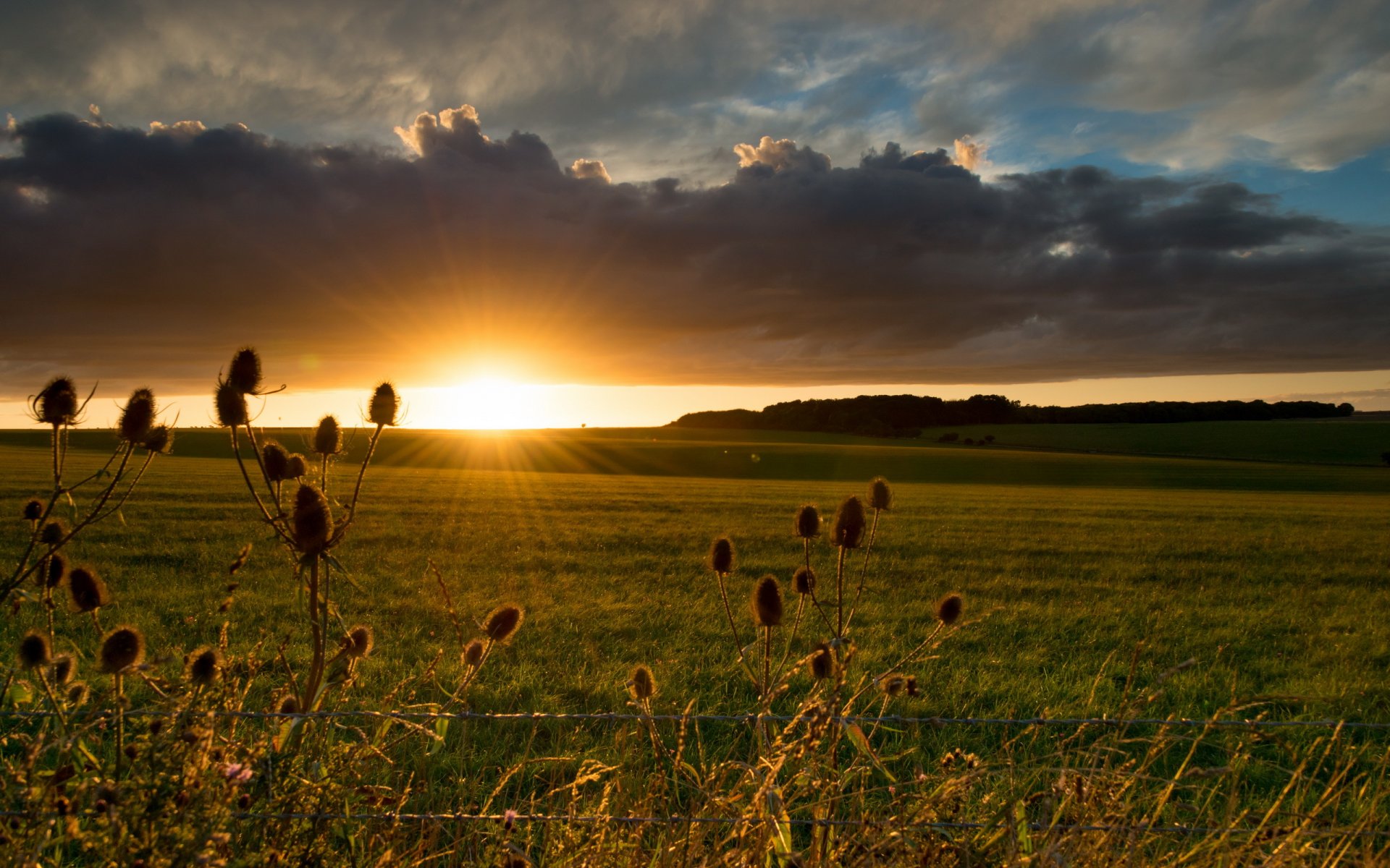 coucher de soleil champ paysage