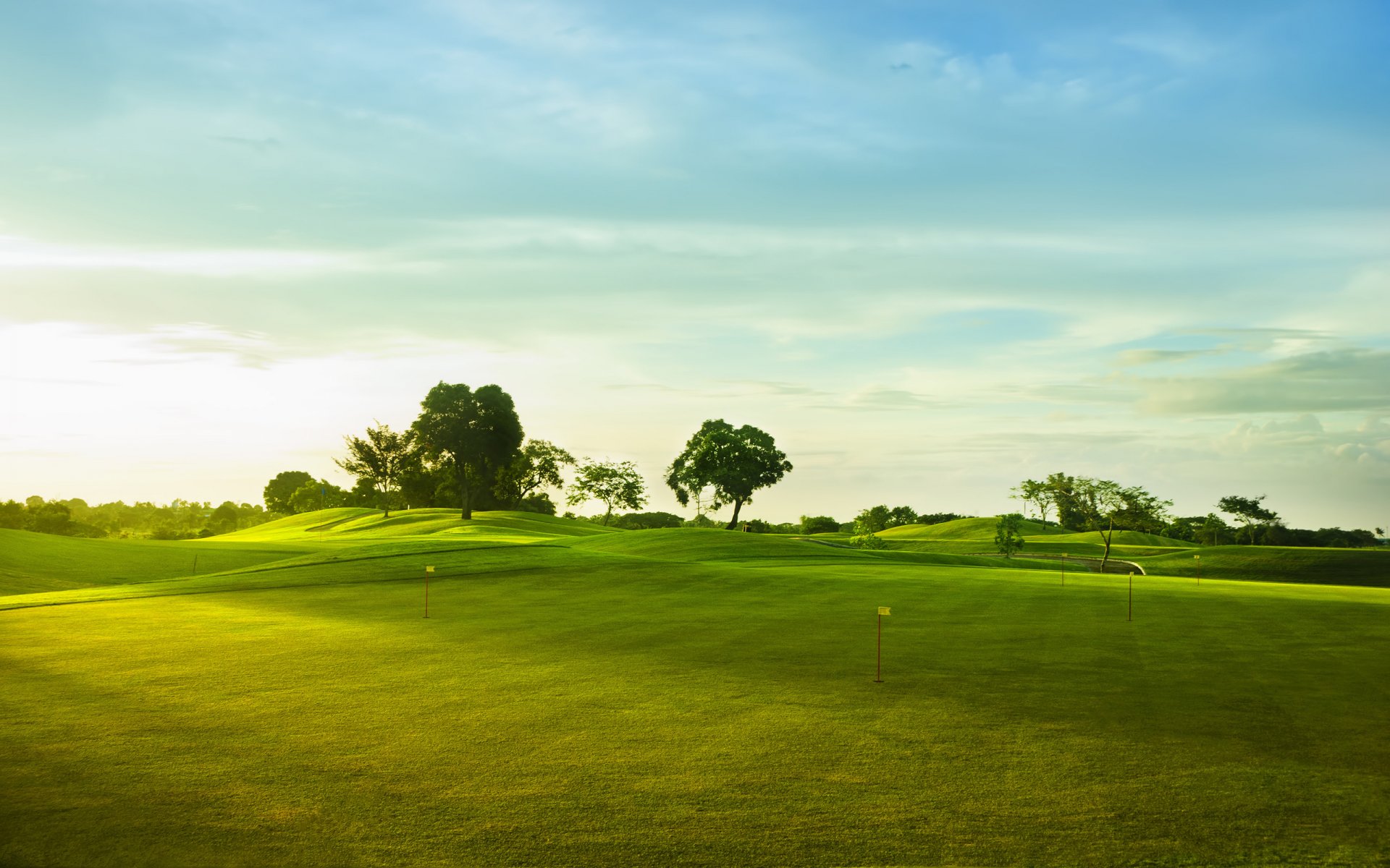 golfplatz landschaft natur sport gras hügel bäume himmel wolken flaggen flagge grünes gras grünes feld widescreen wallpaper 2560x1600 golf sporttapete