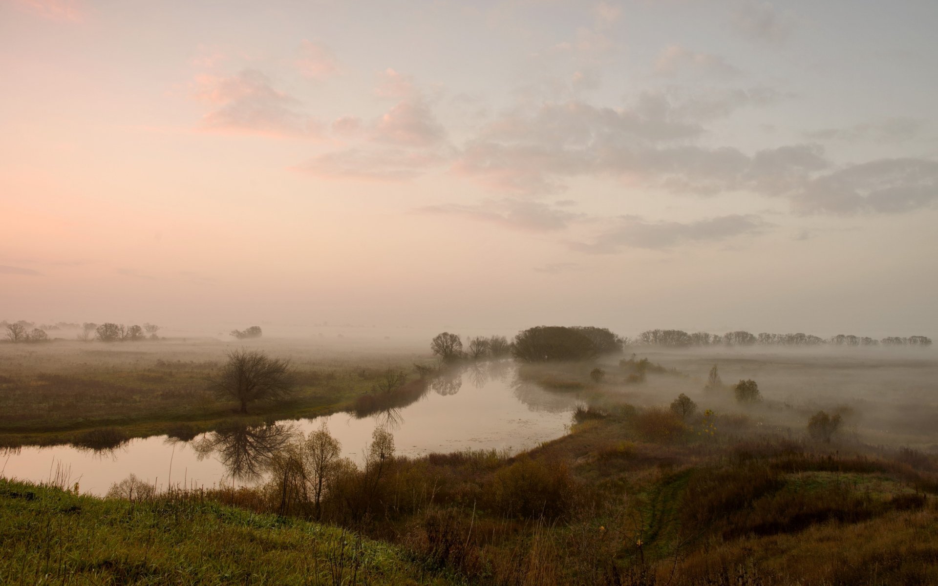 rivière champ brouillard paysage