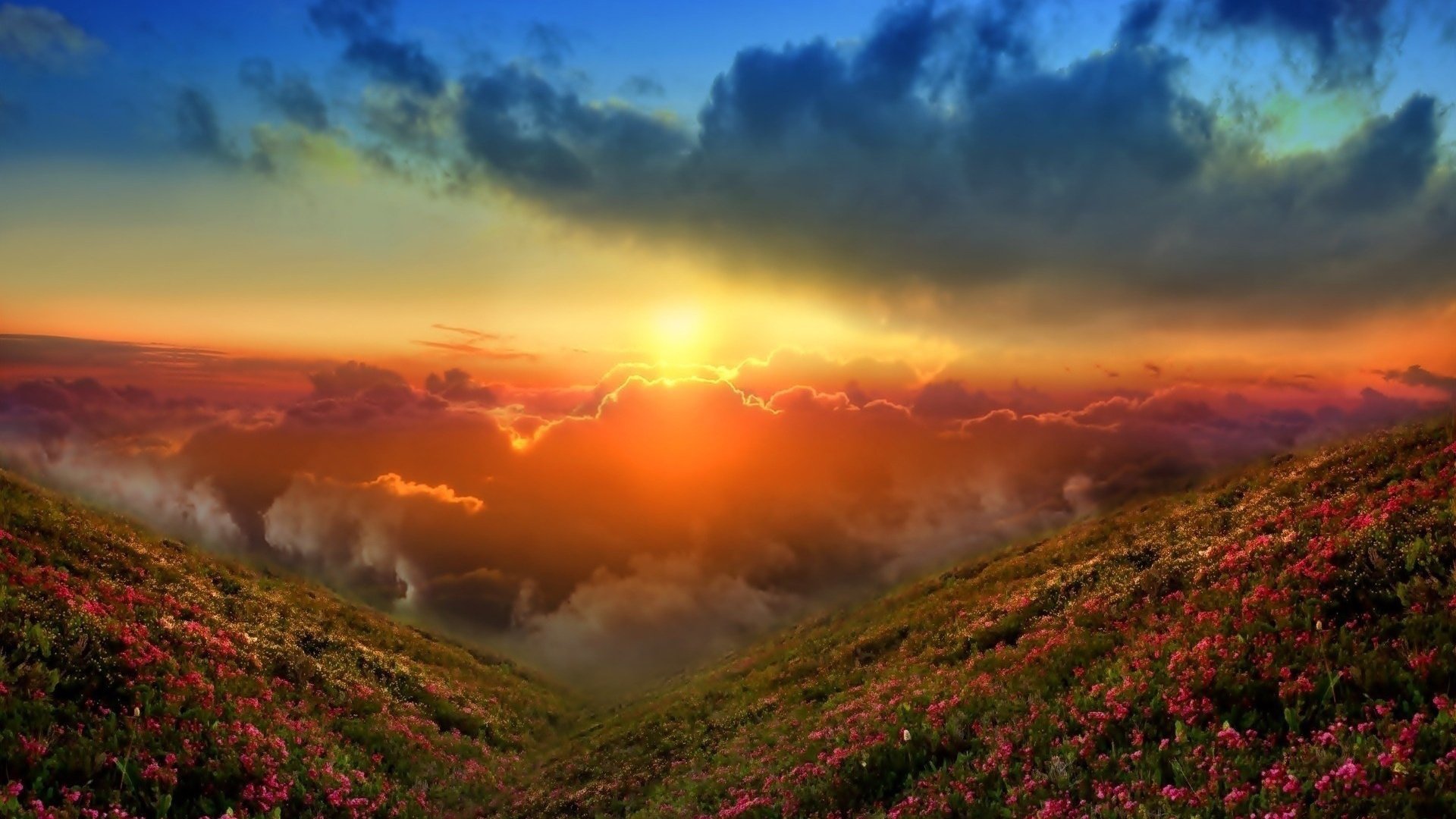 berge hügel gras blumen ferne himmel wolken dämmerung sonnenuntergang