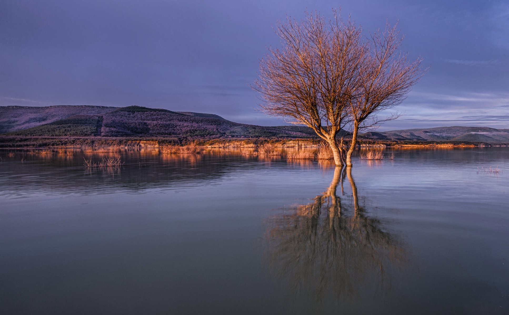 collines lac arbre nuages