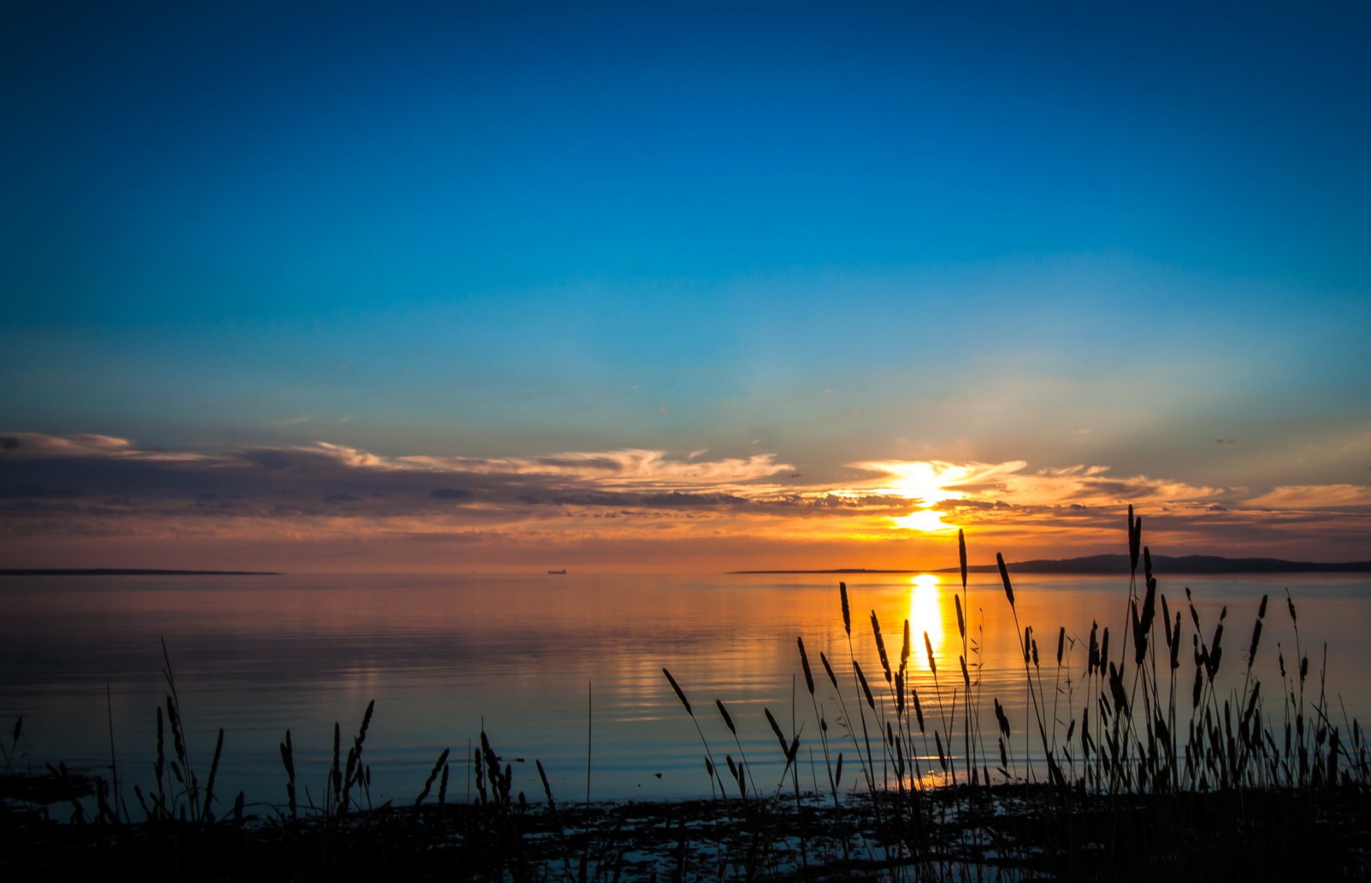 río australia amanecer atardecer cielo costa port lincoln australia del sur hierba naturaleza foto