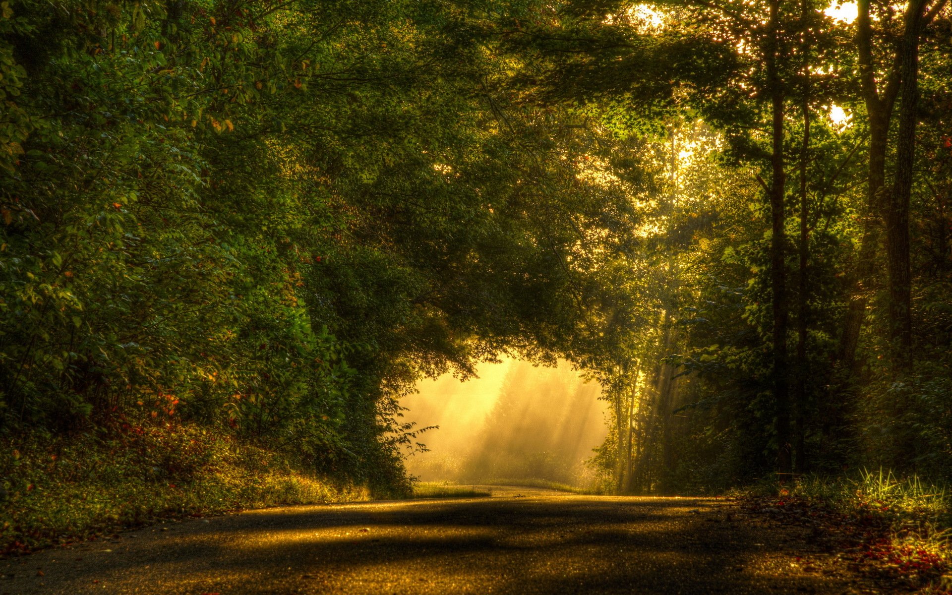 strada luce paesaggio