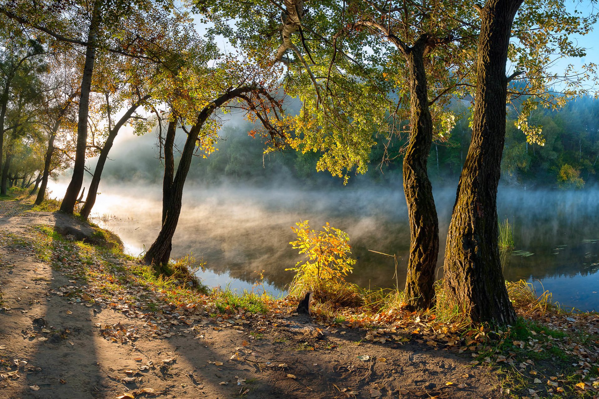 ucrania donbass svyatogorsk seversky donets río árboles hojas mañana otoño