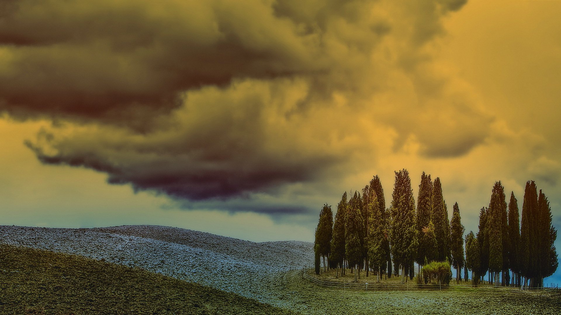 champ ciel arbres paysage