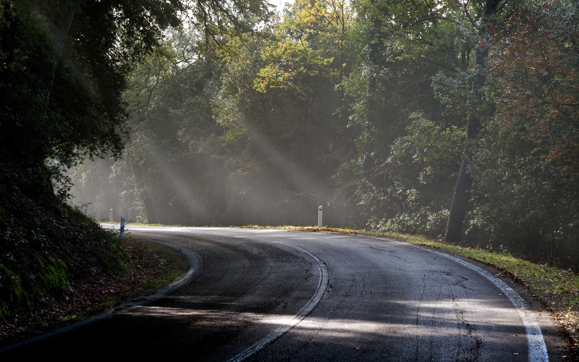 matin route brouillard lumière paysage