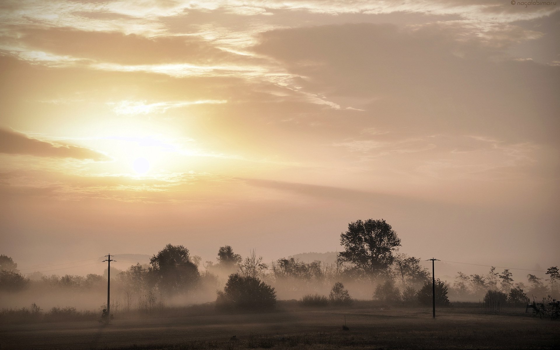 unset the field fog landscape