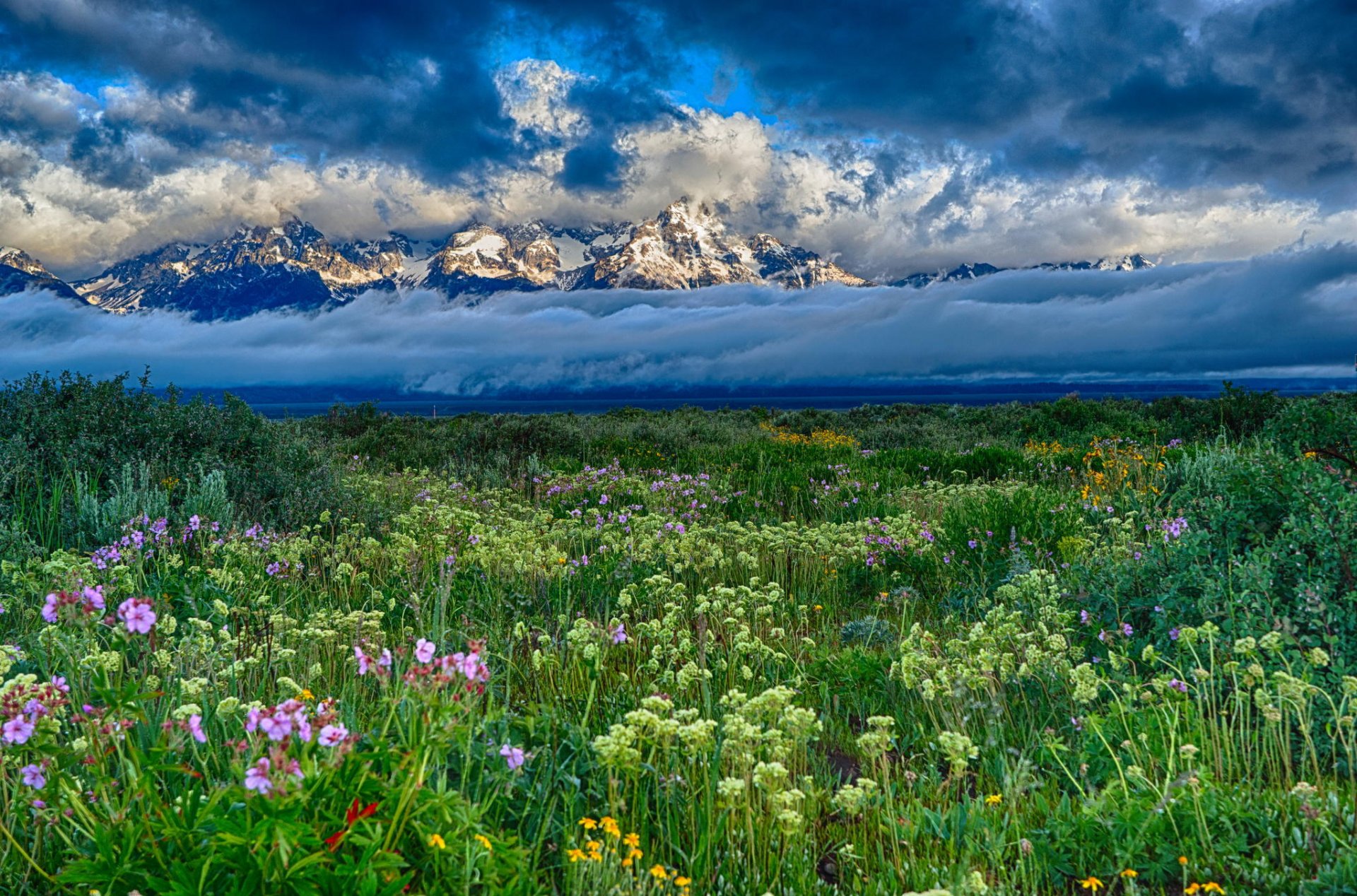 montagnes nuages neige champ fleurs paysage nature