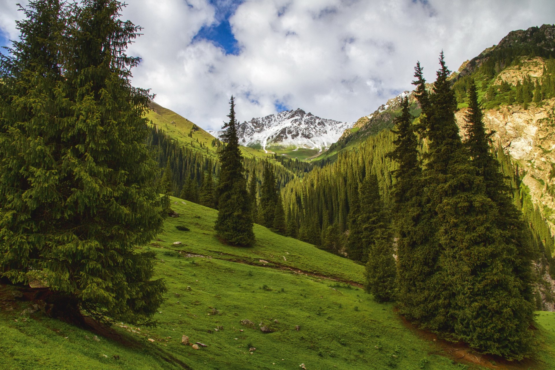 landscape mountain kyrgystan valley altyn arashan spruce nature photo