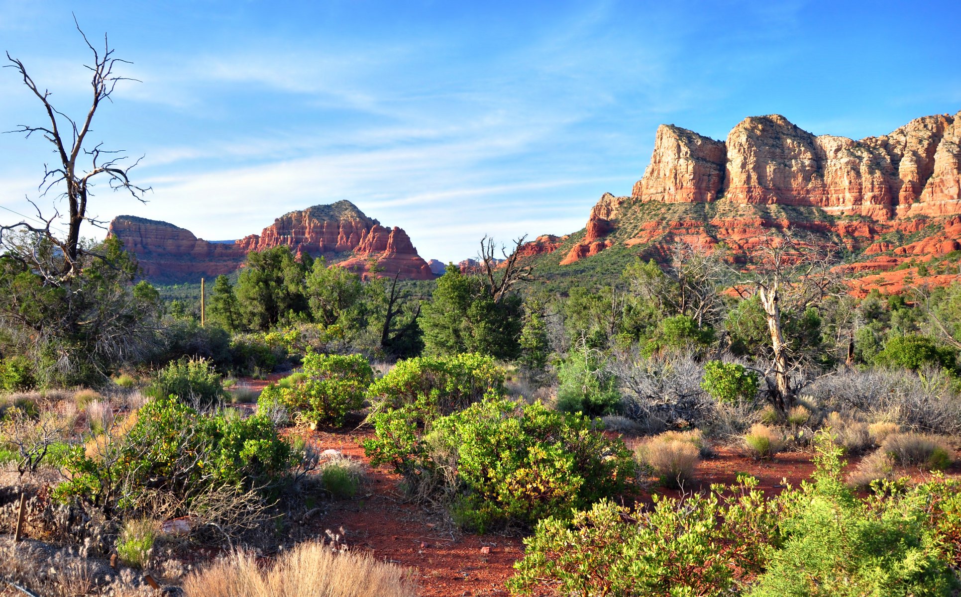 natura cielo nuvole montagne rocce alberi cespugli deserto sedona arizona