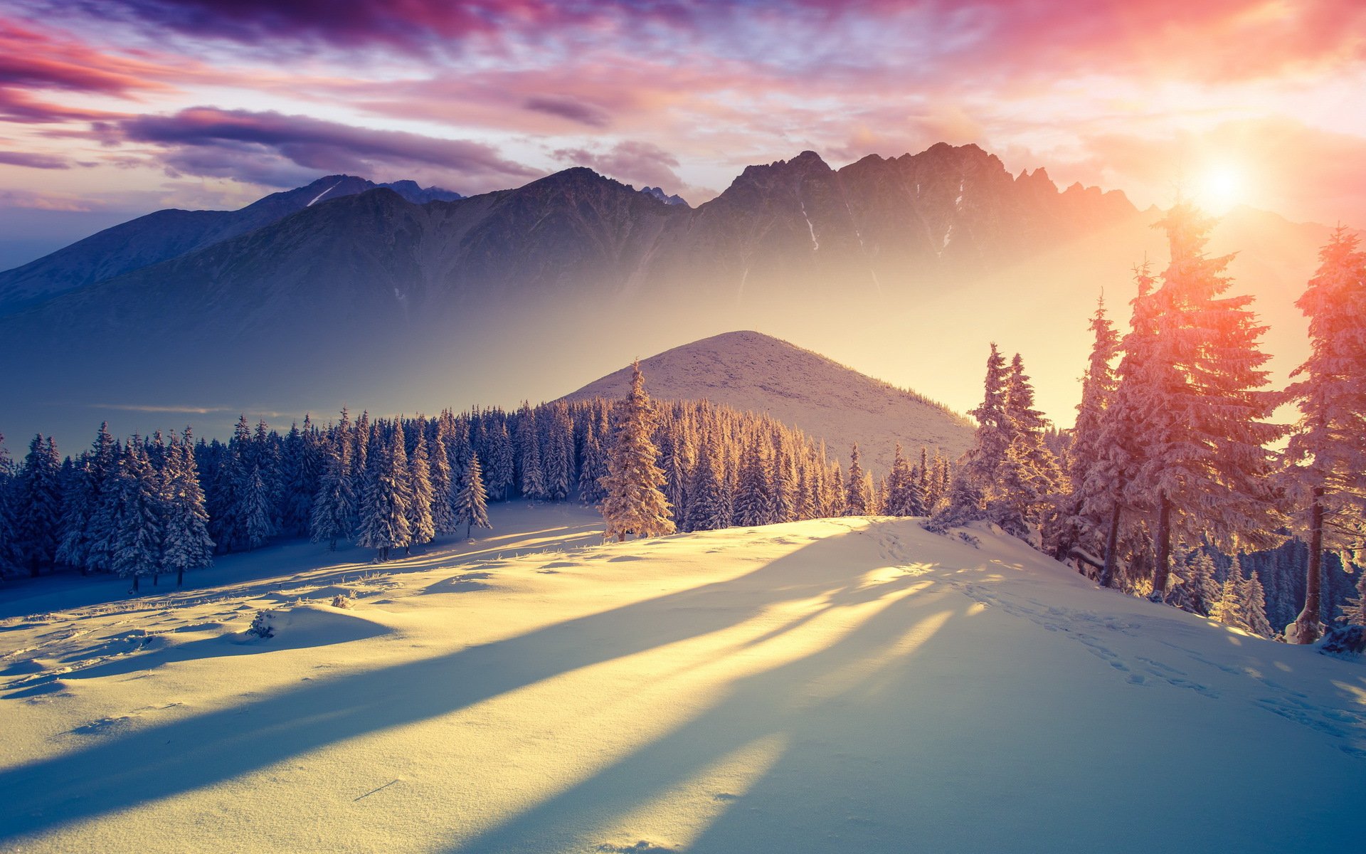 hiver nature paysages neige froid fraîcheur montagnes arbres ciel soleil lumière nuages ombres épinettes silence décembre janvier février 2014