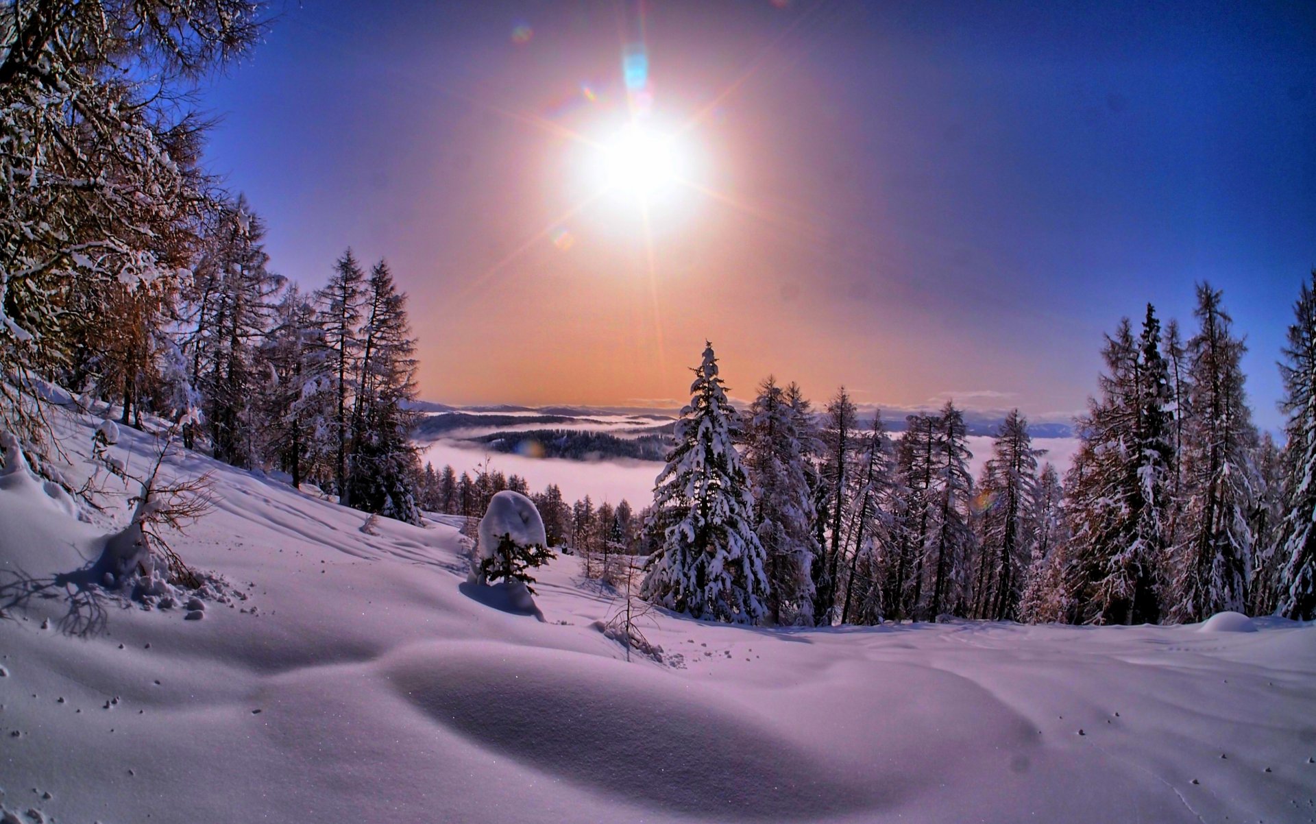 nature hiver neige ciel paysage hiver blanc coucher de soleil