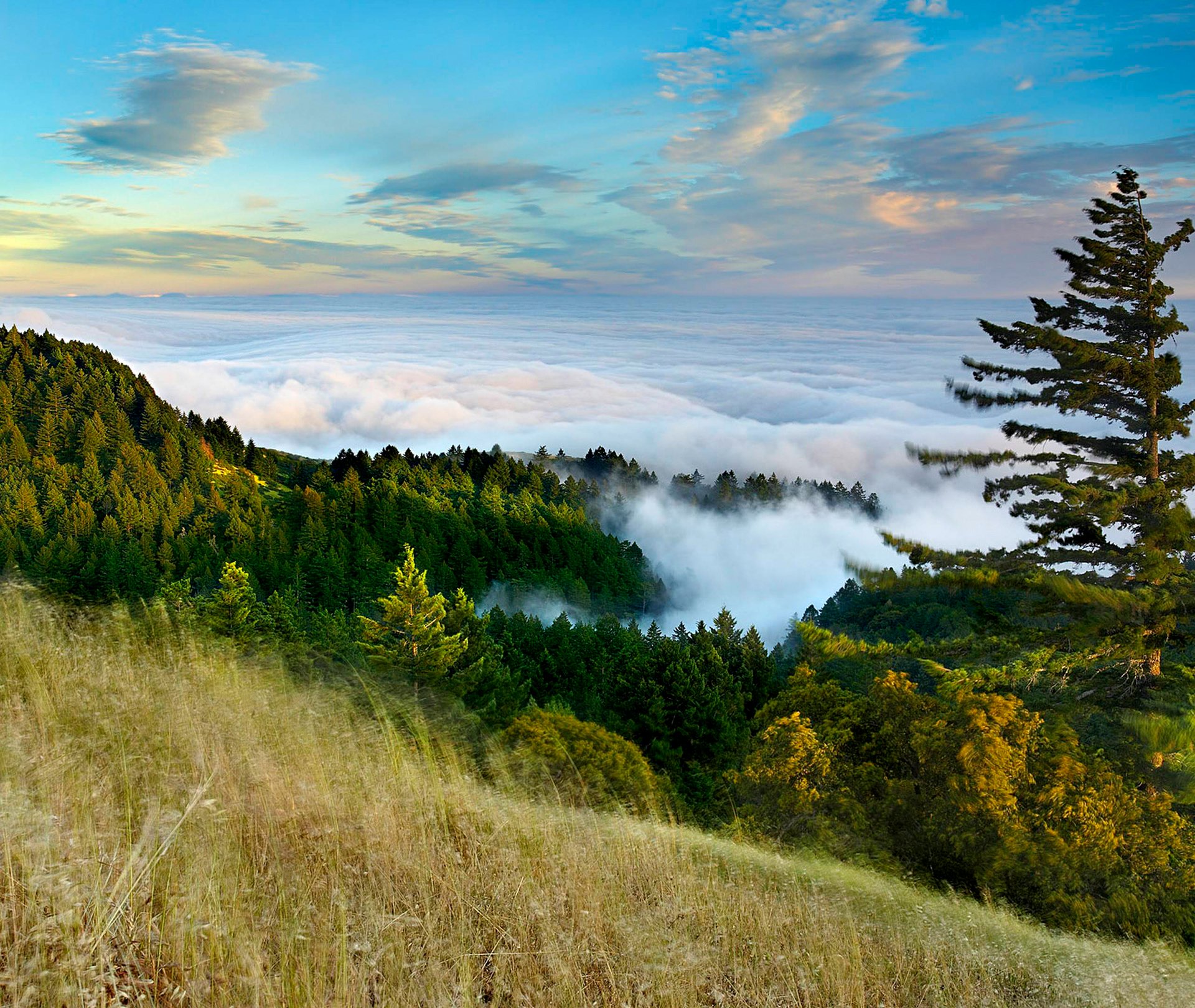 himmel wolken berge wald hang nebel