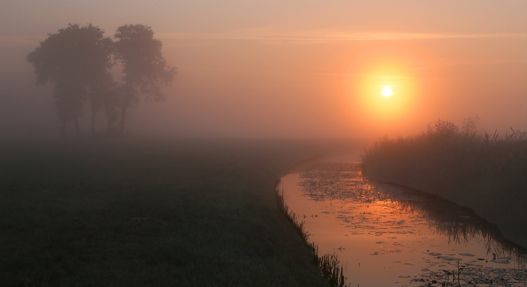 estate mattina alba nebbia fiume