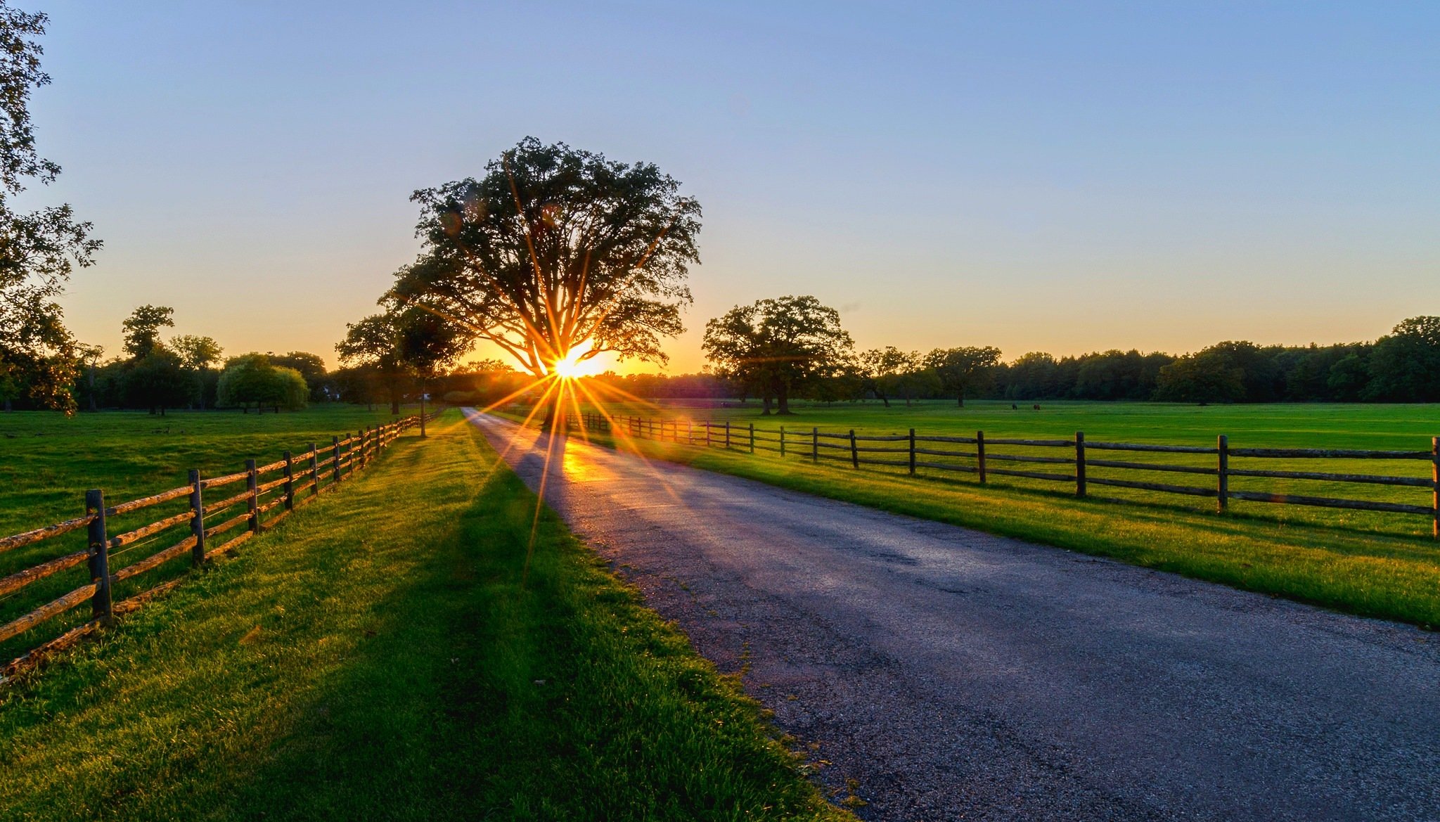 nature rays sunset sunrise spring forest park trees road walk spring