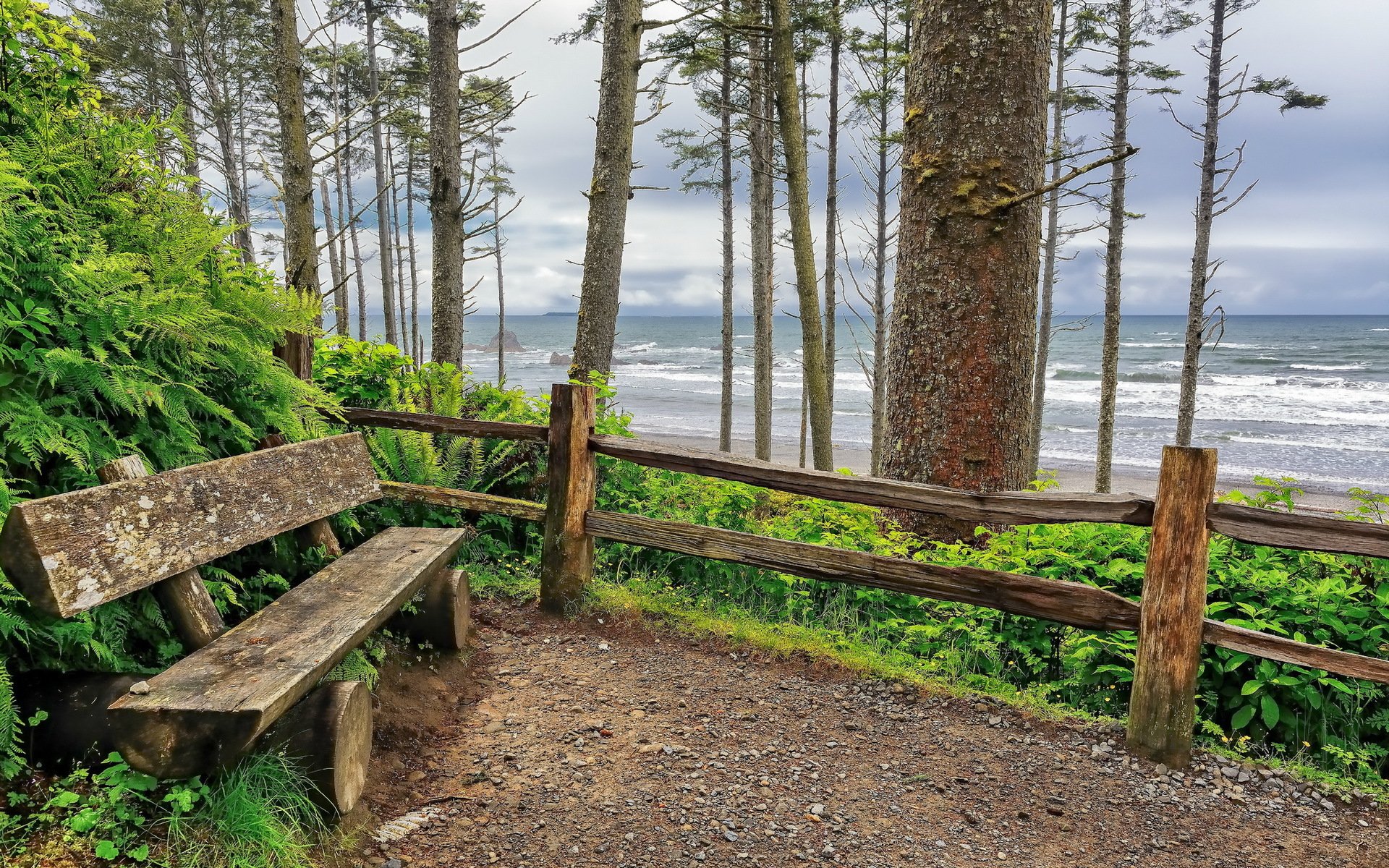 ruby beach ławki ocean fale waszyngton