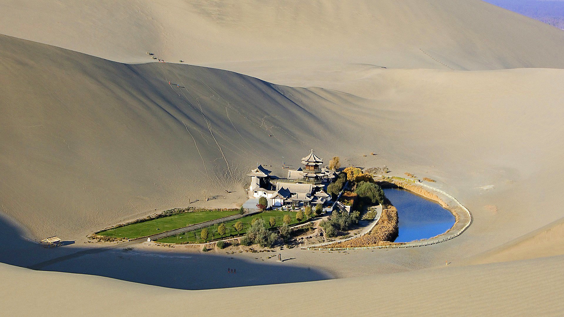 sabbia deserto oasi erba stagno pagoda alberi