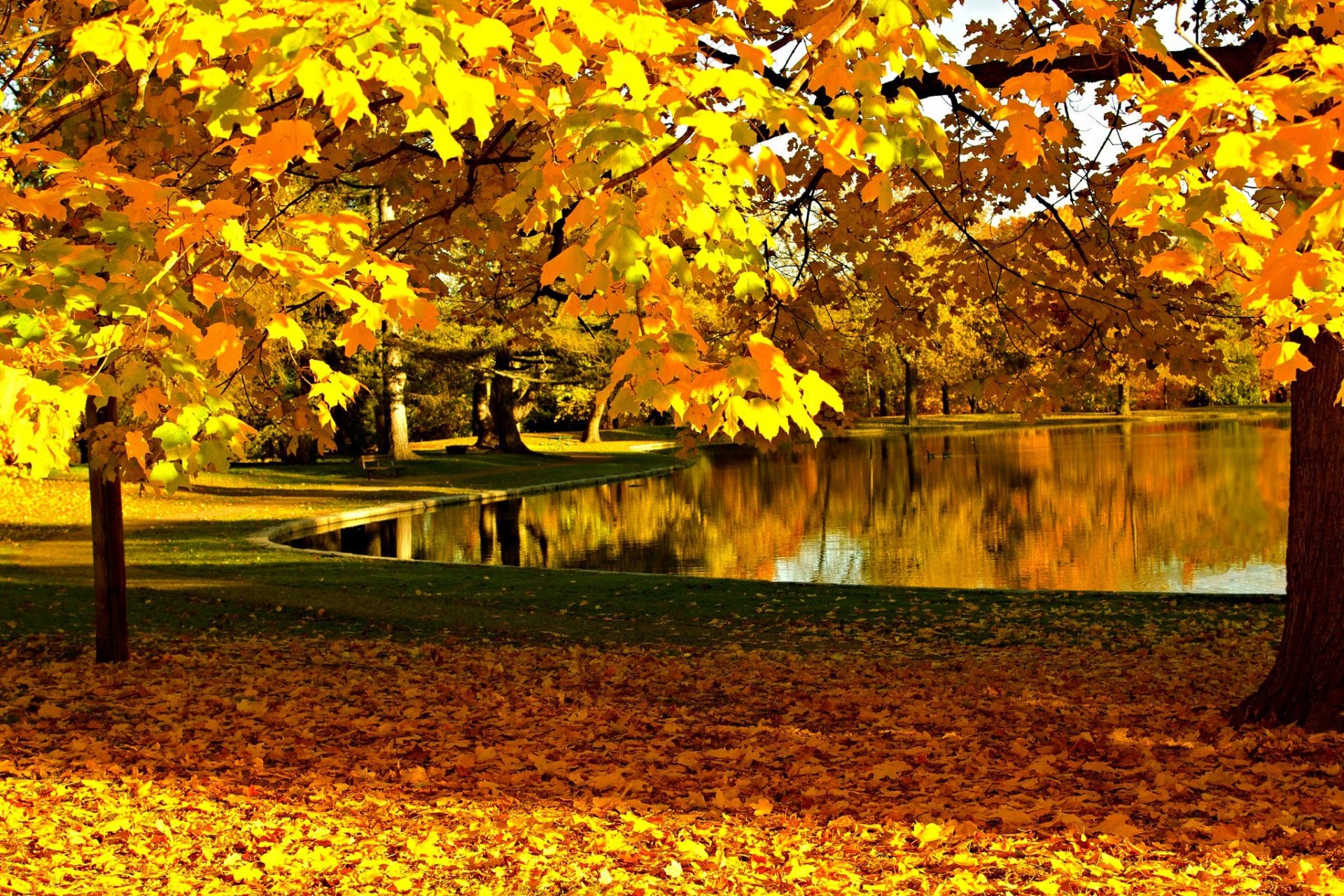 nature sky river water forest park trees leaves colorful autumn fall colors walk mountain