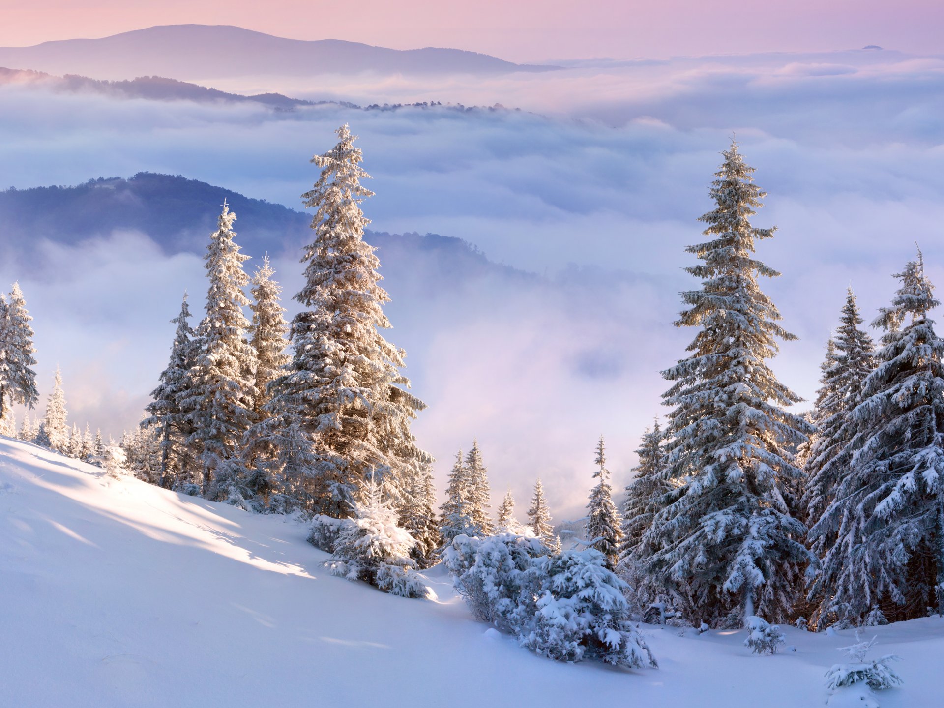 ciel nuages montagnes hiver arbres neige pente sapin