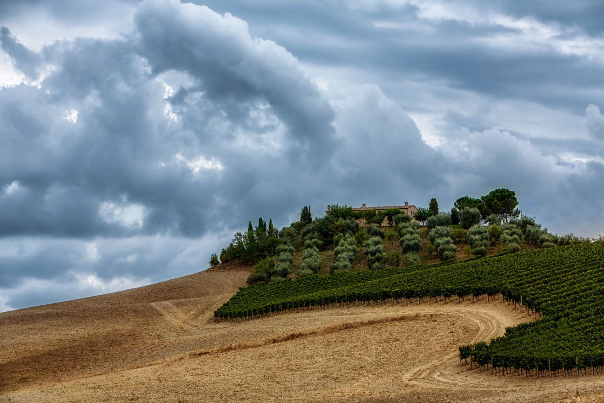 champ montagne paysage