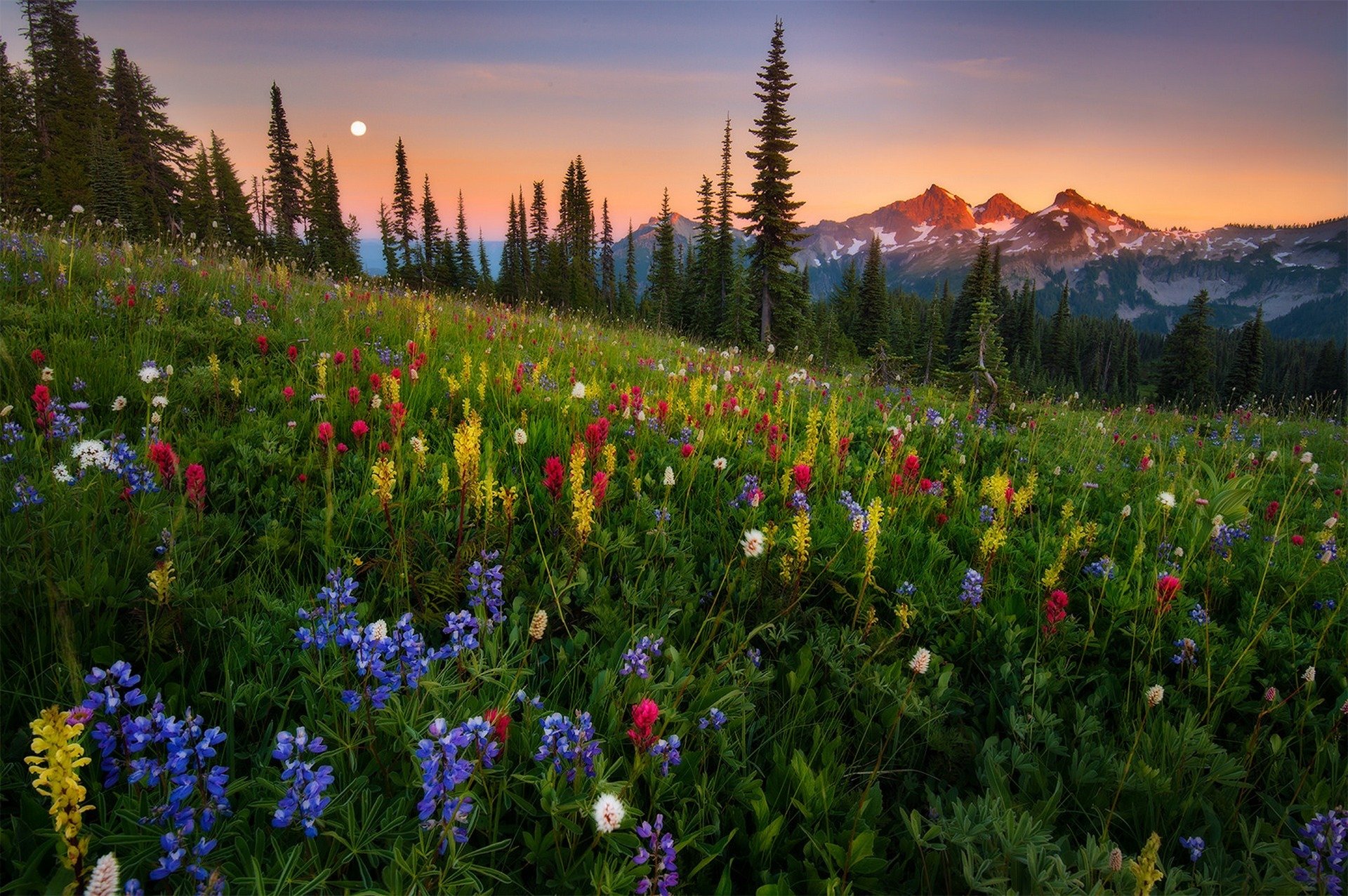 natur sonnenuntergang berge himmel wolken wald park bäume farben blumen zu fuß wolken gras