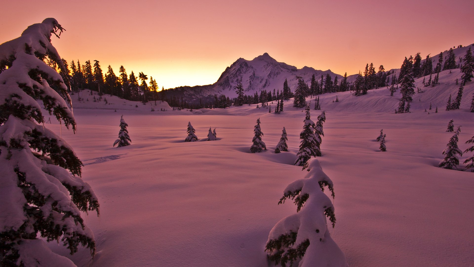 winter schnee bäume berg himmel sonnenuntergang