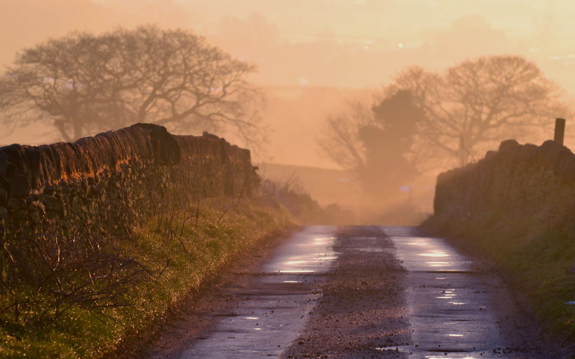 matin brouillard route paysage