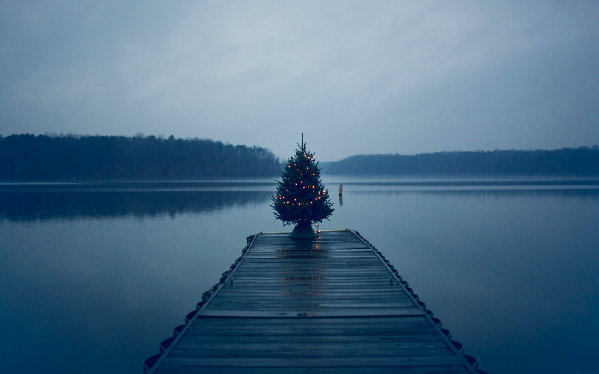 lago acqua molo foresta nuvole albero di natale luci