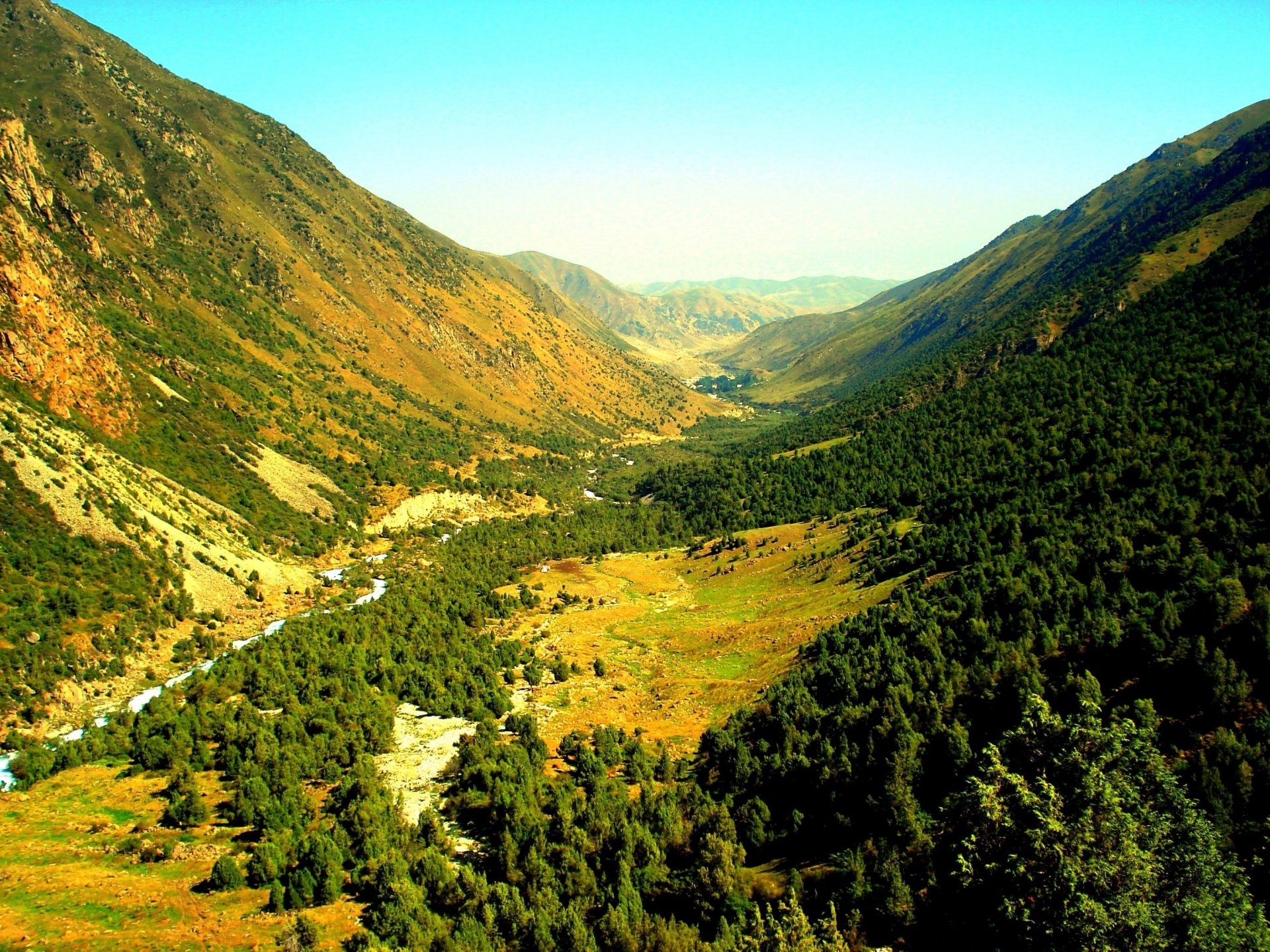 mountain forest nature sky landscape photo