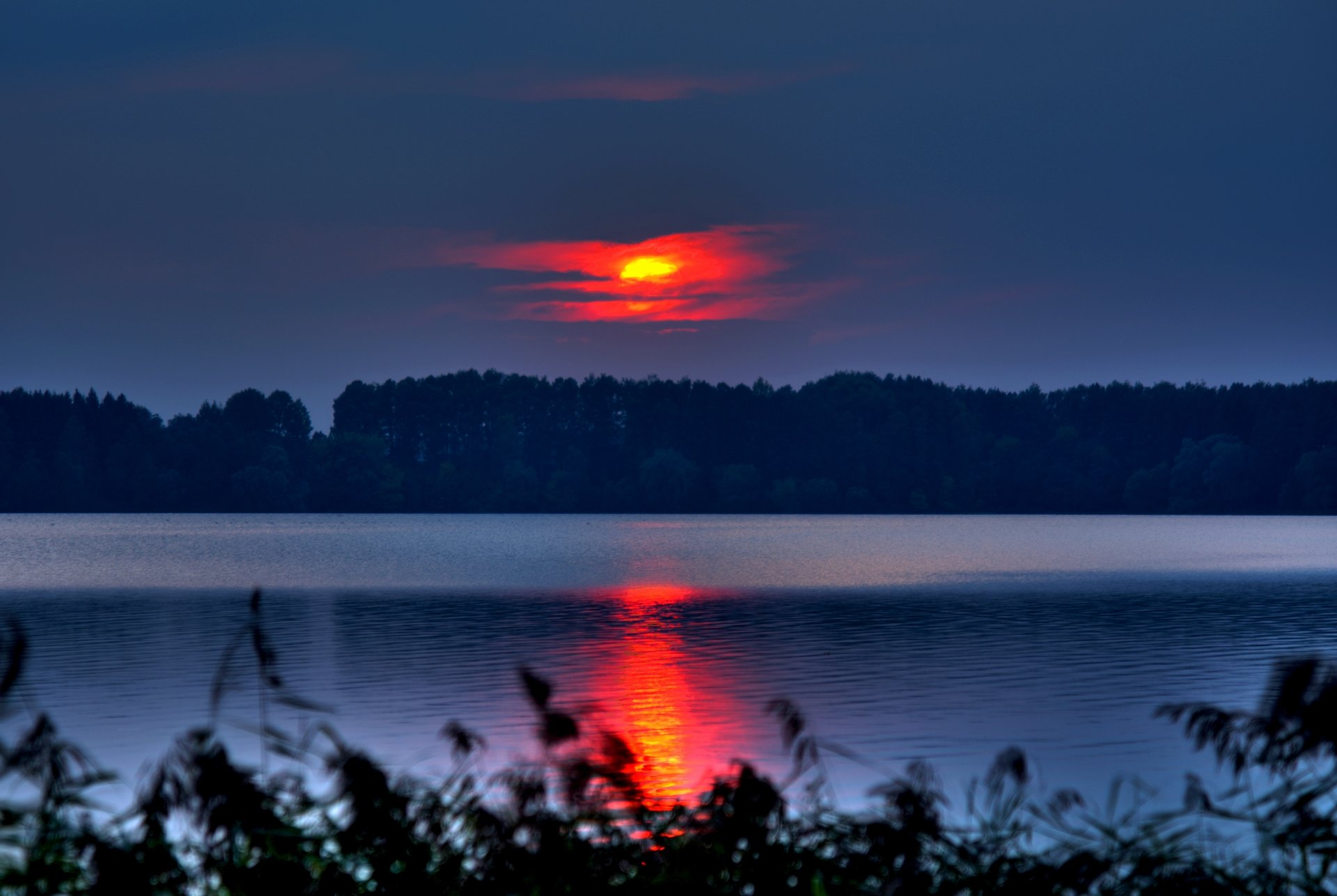 nature tree foliage sun sky clouds sunset