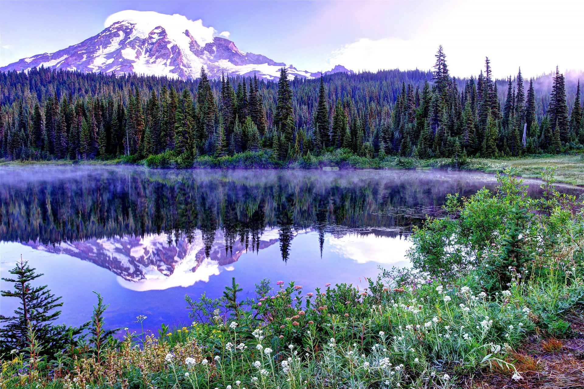 mount rainier usa ciel printemps arbres montagnes neige sapin sommet lac fleurs