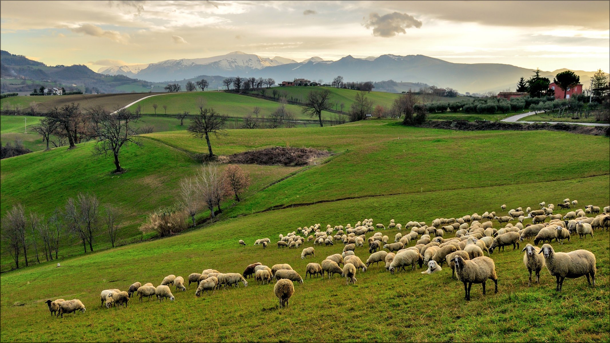 italien kampanien himmel berge hügel gras felder bäume haus schafe otara