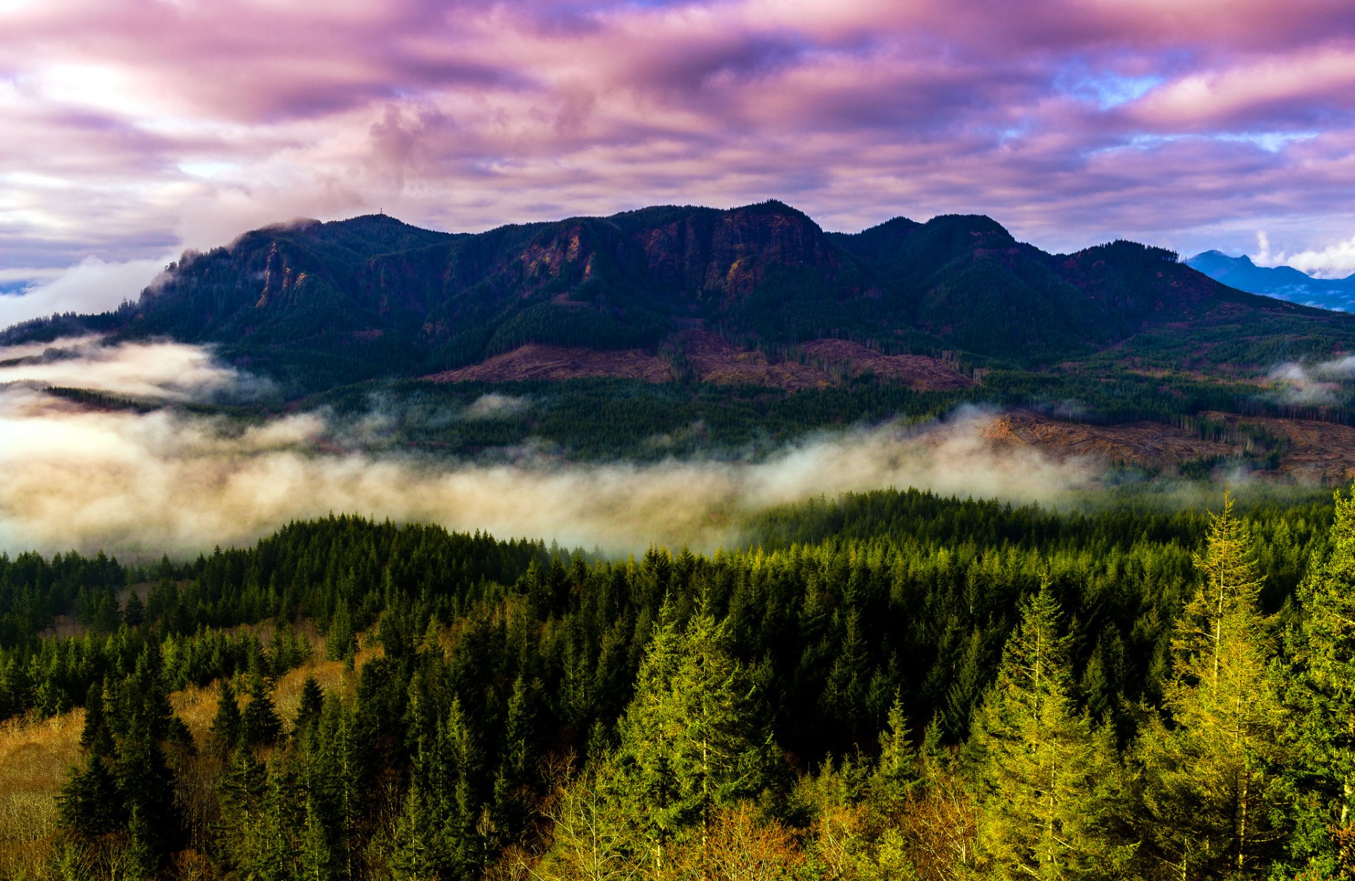 stati uniti oregon montagne nebbia foresta alberi paesaggio