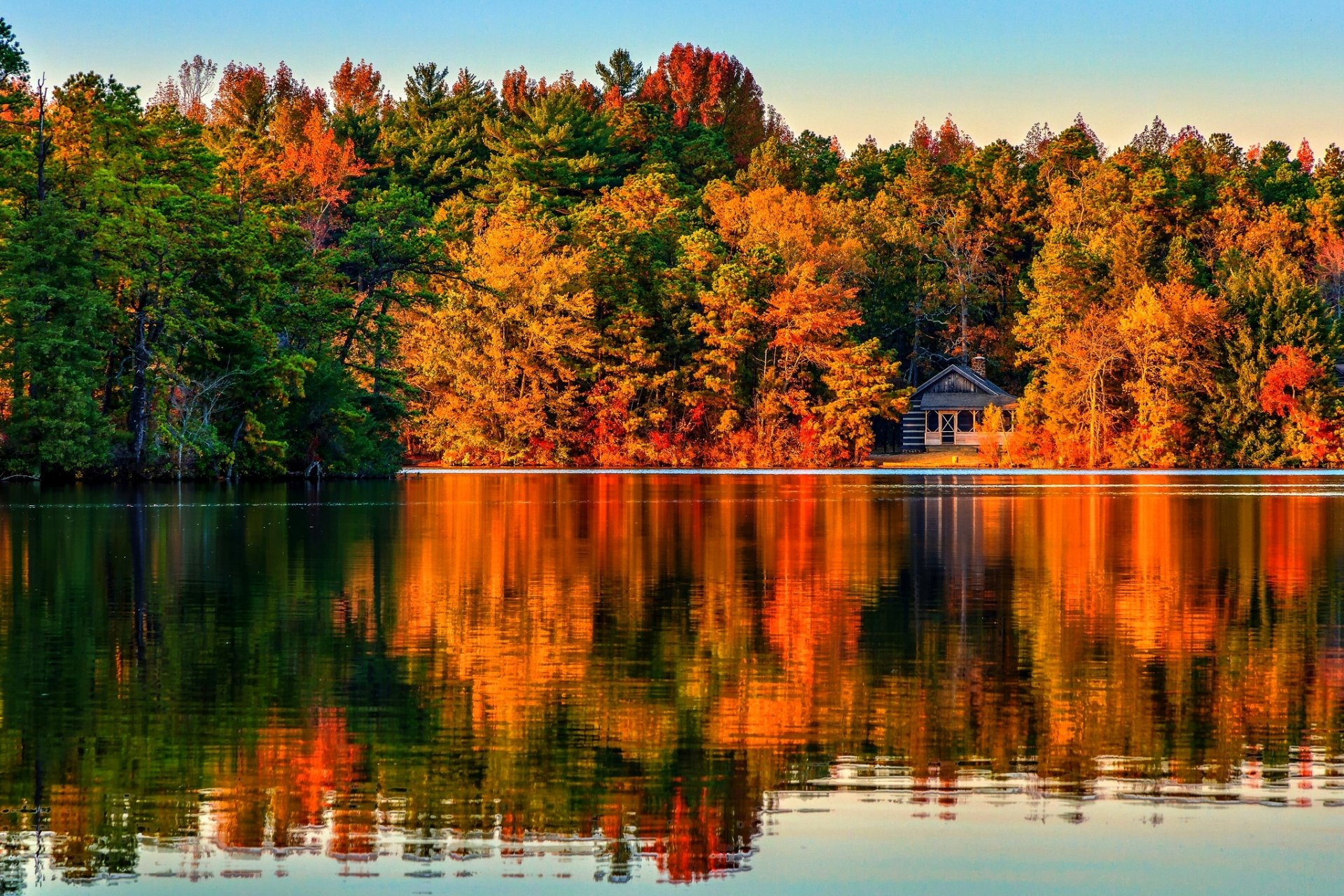 natura paesaggio foresta alberi autunno villa case architettura vila casa visualizza