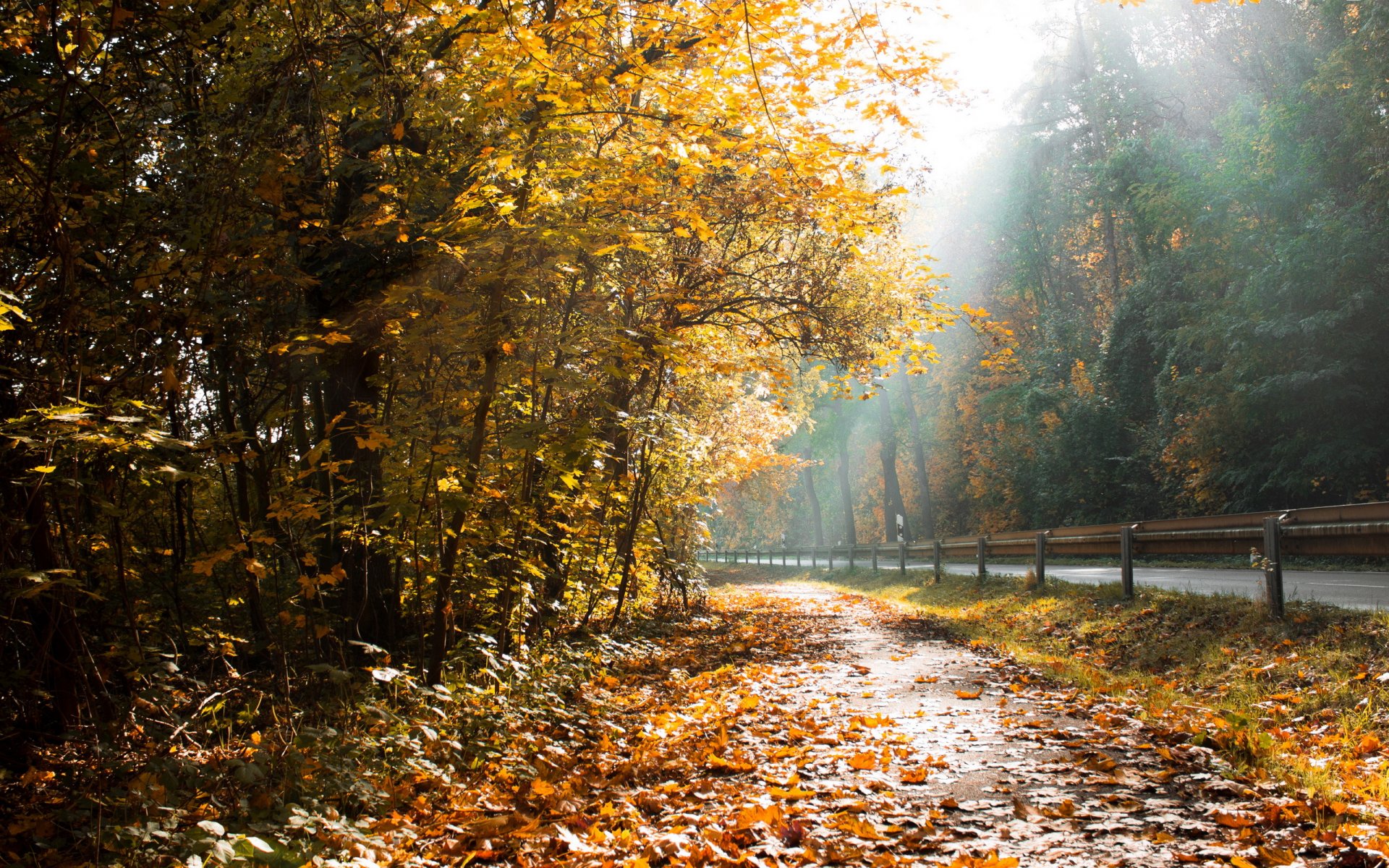 route feuilles automne