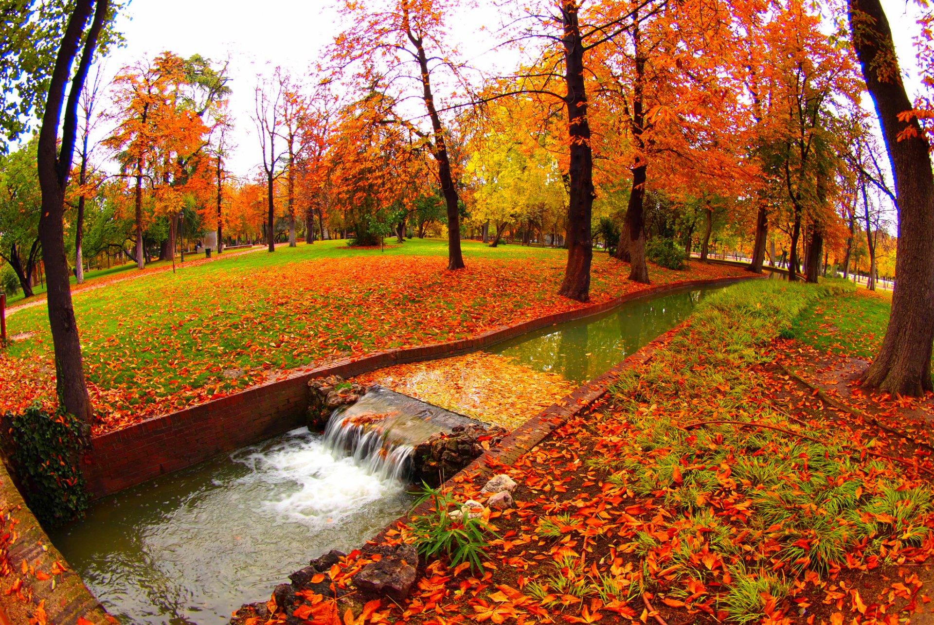 park creek water tree autumn