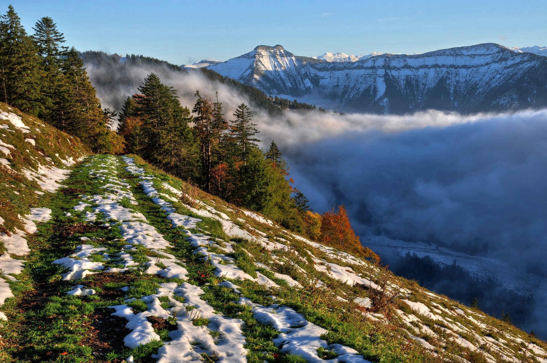 pente neige arbres montagnes brouillard ciel