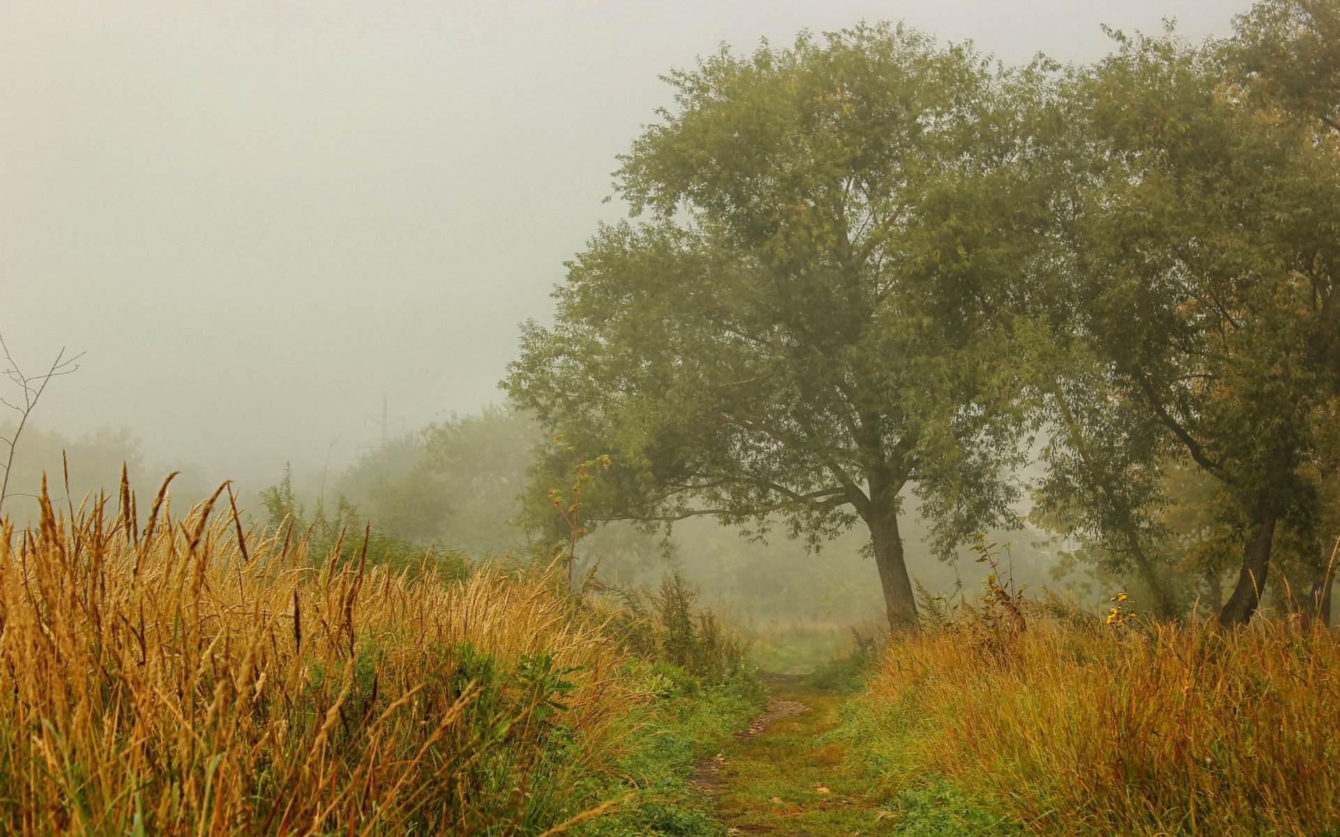 autumn landscape nature