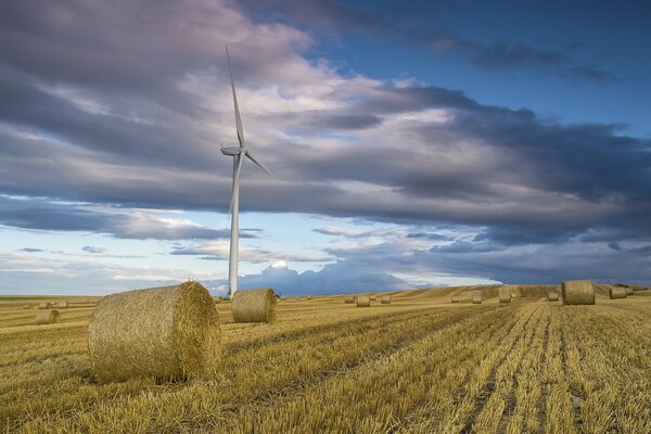 The silence of autumn fields under windmills