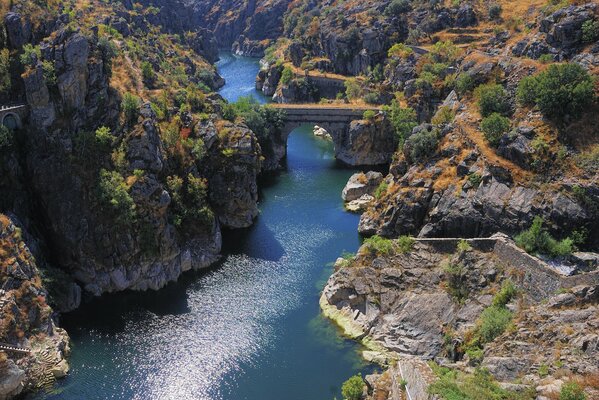 Fiume che nuota al sole tra le rocce