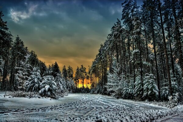 Zimowy wieczór w Kanadzie . dom w lesie