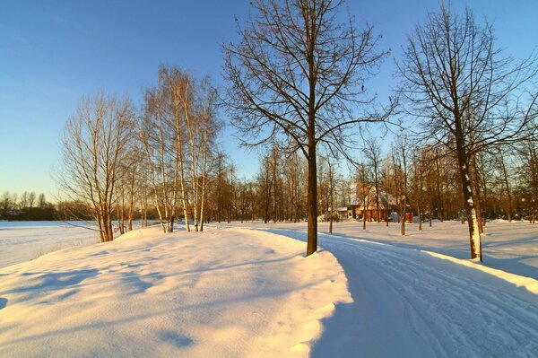 Winter morning in the village